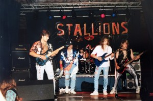 Stallions 